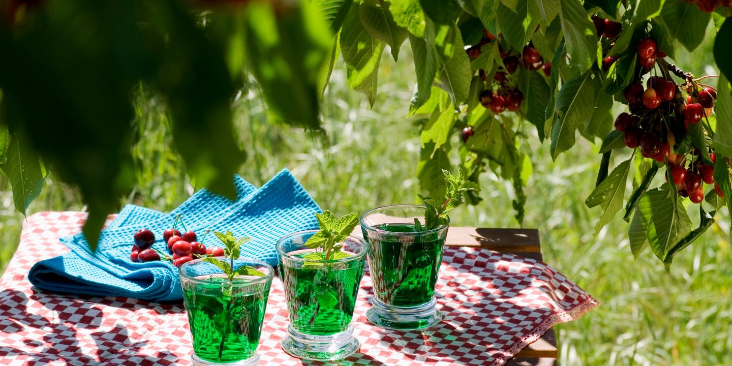 YaKa alerte sur des sirops de menthe trop verts au colorant bleu brillant