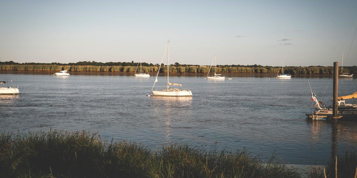 Le long de la Charente, un fleuve aux courbes chatoyantes