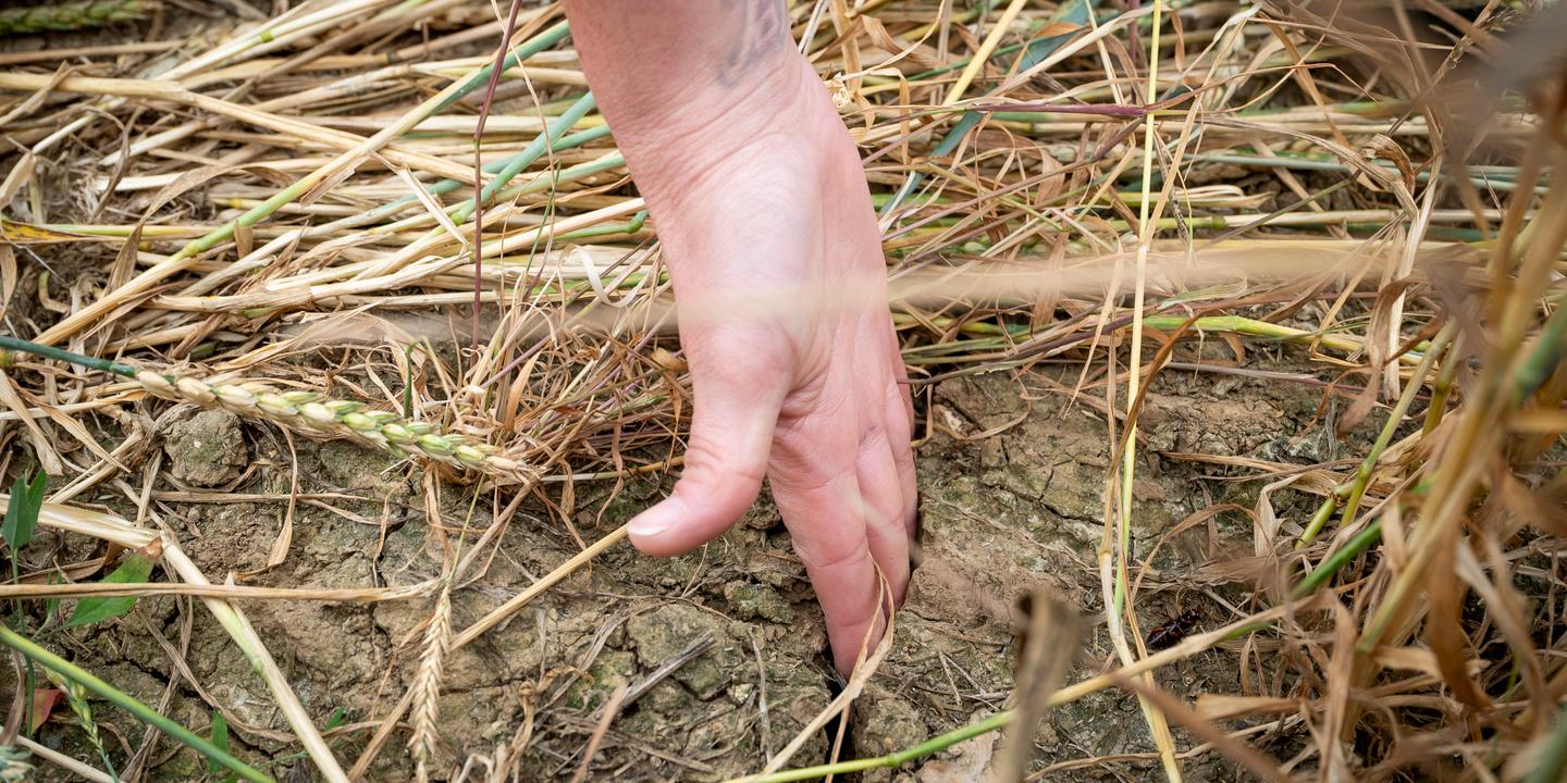 L'eau, un bien vital qui mérite un débat mondial