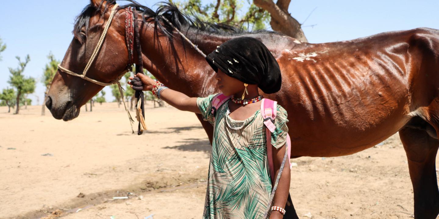 Près de la moitié des enfants dans le monde exposés à au moins trois aléas climatiques, alerte l'Unicef
