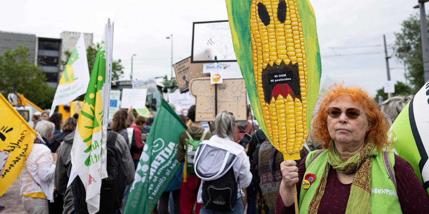 OGM nouvelle génération : le Parlement européen approuve
