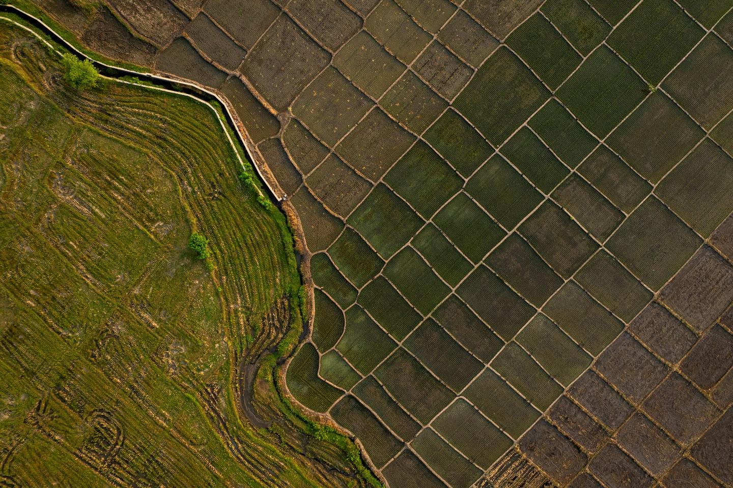 https://www.lemonde.fr/planete/article/2026/07/09/el-nino-un-phenomene-climatique-qui-se-renforce-et-devrait-tres-probablement-se-classer-parmi-les-plus-importants-jamais-enregistres_6722122_3244.html social preview image