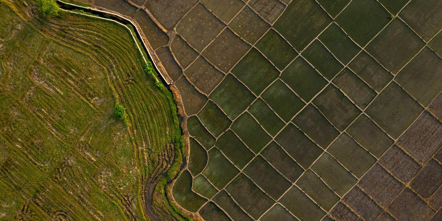 El Niño : un phénomène qui se renforce et pourrait battre des records