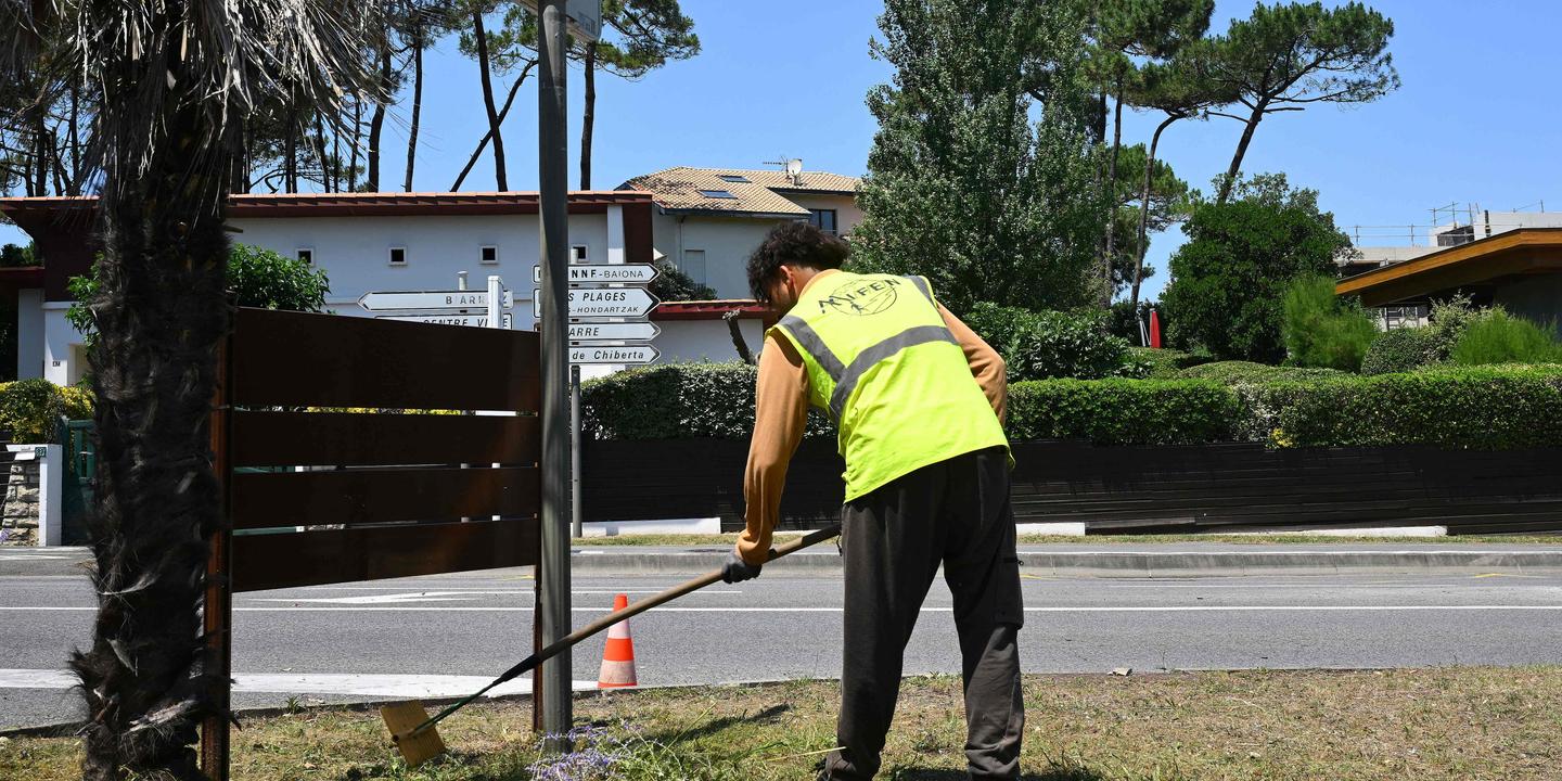 Canicule : les entreprises sommées de s'adapter à la multiplication des vagues de chaleur