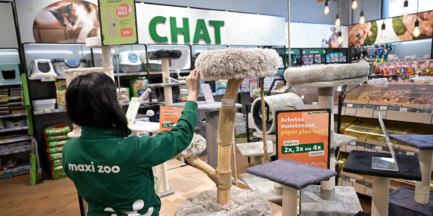 Maxi Zoo vise les centres-villes après une année record