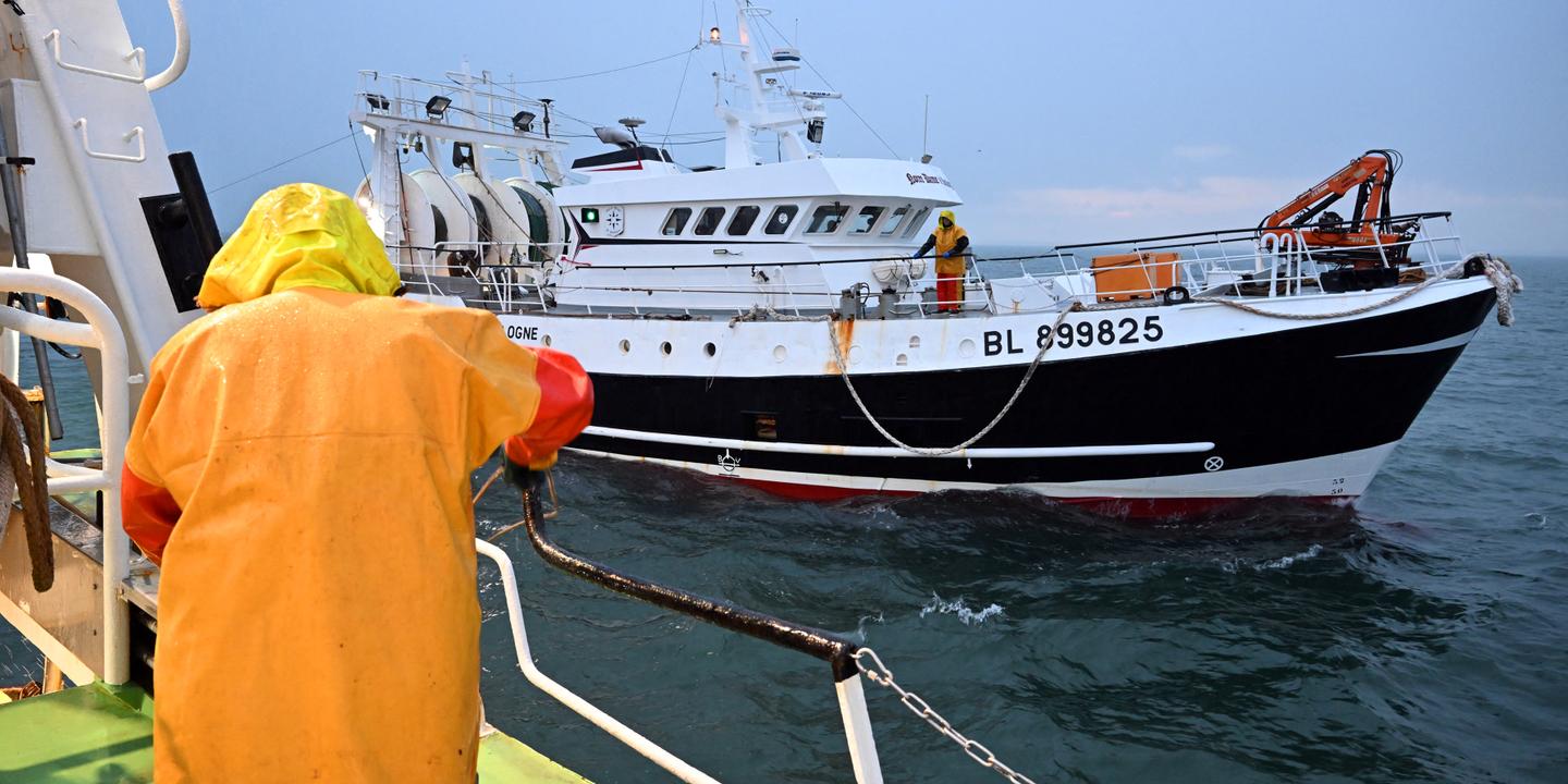 Interdiction bientôt des grands chalutiers près des côtes normandes