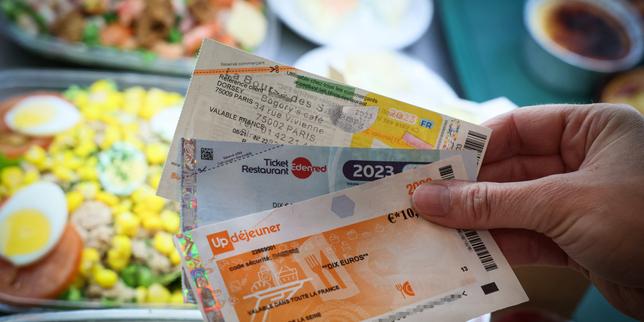 « Les agents IA ne vont pas au restaurant et n’achètent pas de cadeau pour la Fête des mères »