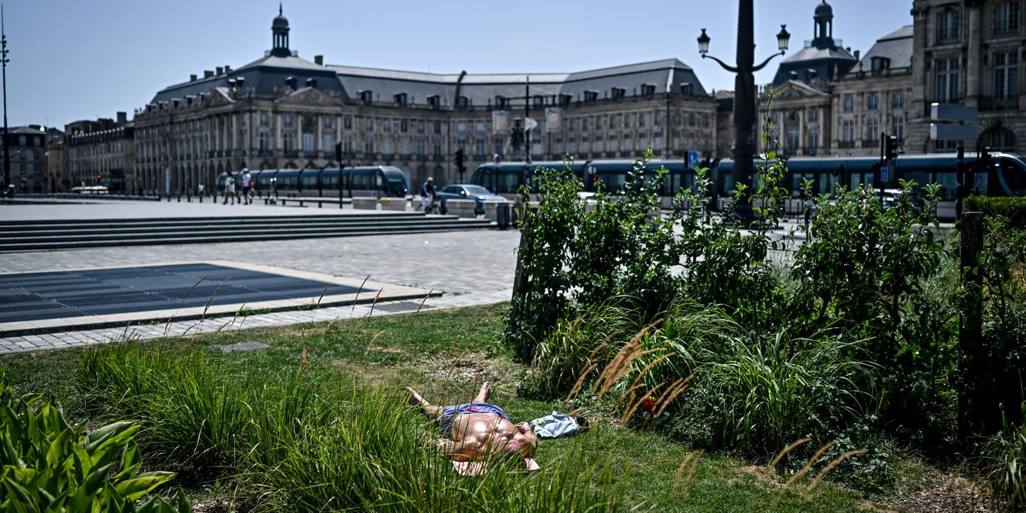 Canicule : 49 départements en vigilance rouge, 35 millions de Français concernés
