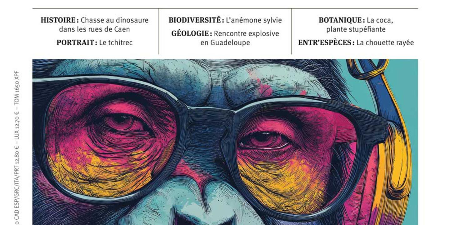 DARWIN entre dans ce corps : l'IA révolutionne la biologie