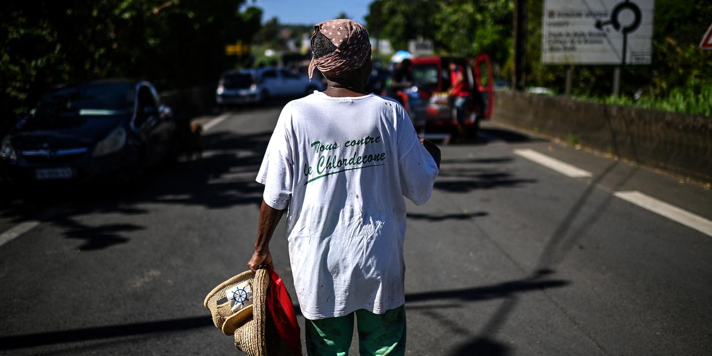 Chlordécone : la cour d'appel confirme le non-lieu