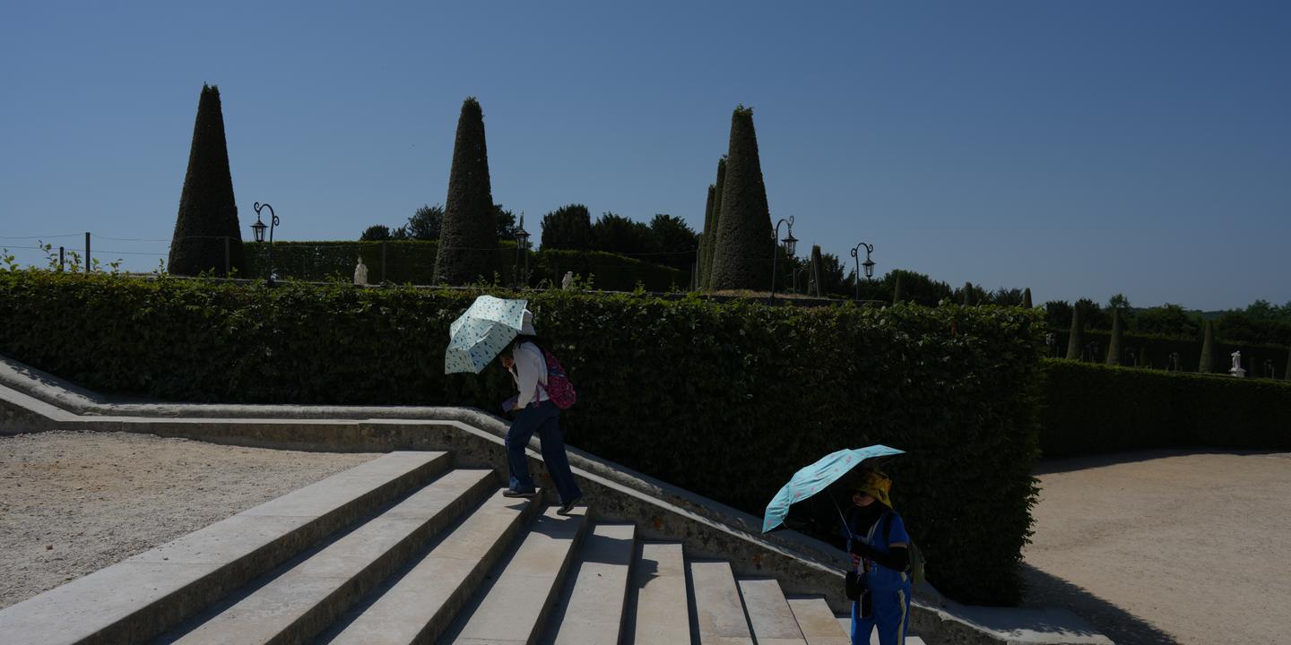 Conférence nationale du handicap reportée à cause de la canicule