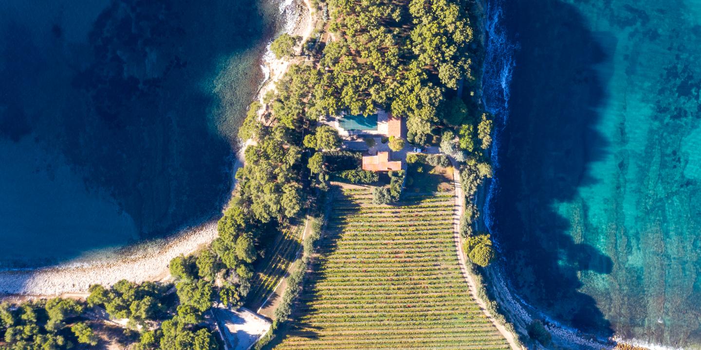 Cassis Grande Terre de Blancs fête 90 ans : l'appellation unique