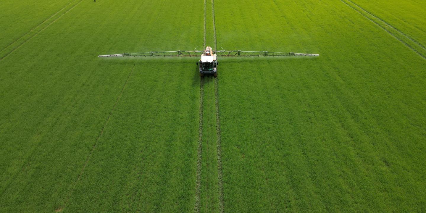 Loi urgence agricole : Sénat approuve retour encadré de deux insecticides interdits