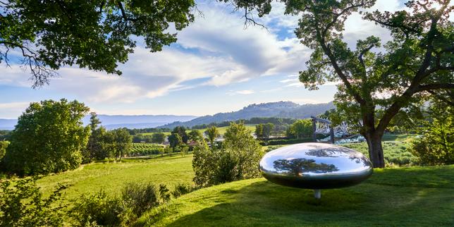 Château La Coste, en Provence, une rencontre bucolique entre le vin et l’art