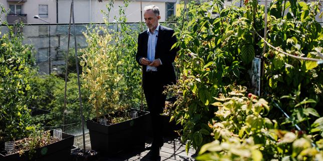 Emmanuel Grégoire, maire de Paris, sur la crise climatique : « Pour nous adapter, nous devons faire évoluer les rythmes de vie »