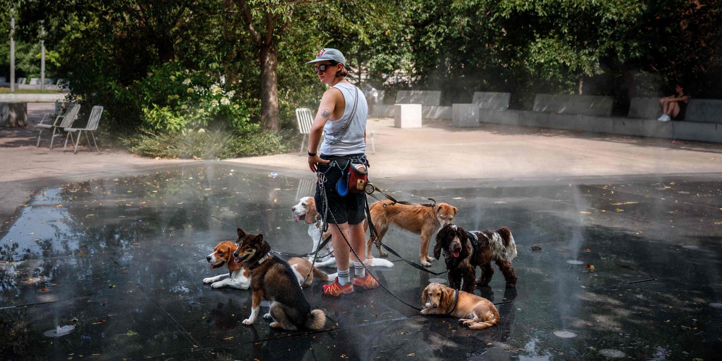 Canicule : 61 départements en vigilance rouge vendredi