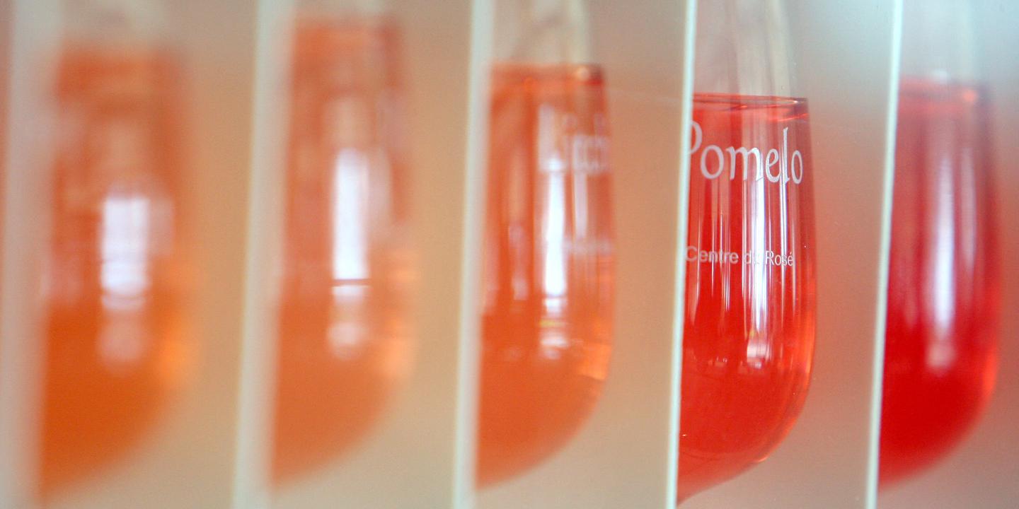 La France championne du monde du vin rosé : production en hausse