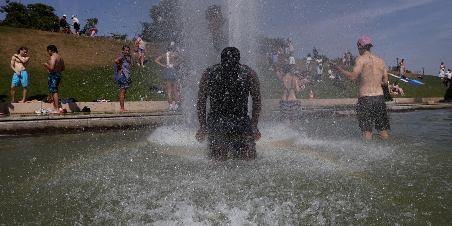 Canicule en Europe : records de température en Allemagne, Danemark, République tchèque