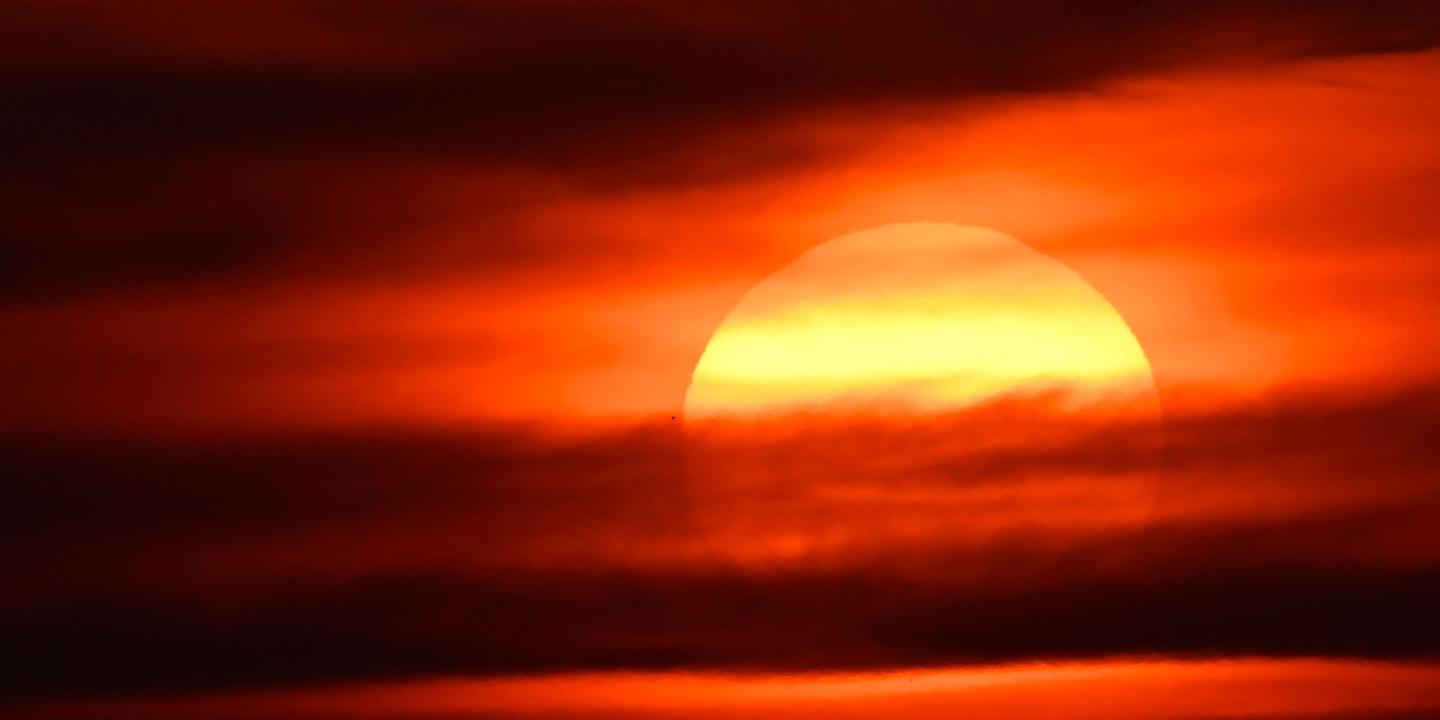 Préparation collective à la canicule : 40 000 morts évitables d'ici 2050
