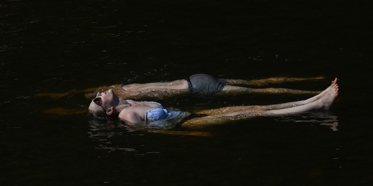 Canicule : plus de 1 300 morts en Europe selon l'OMS