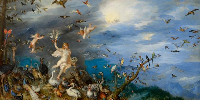 Quatre siècles avant les scientifiques, le peintre Jan Brueghel l’Ancien décrivait une chauve-souris dévorant un oiseau