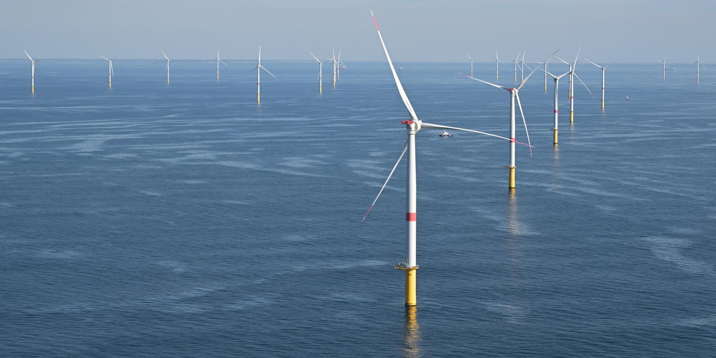 L'essor de l'éolien en mer pourrait transformer durablement la biodiversité