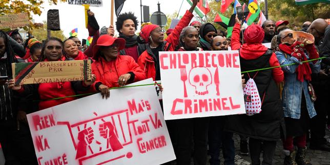 Chlordécone : plus de 500 parties civiles se pourvoient en cassation contre la confirmation du non-lieu dans le scandale sanitaire