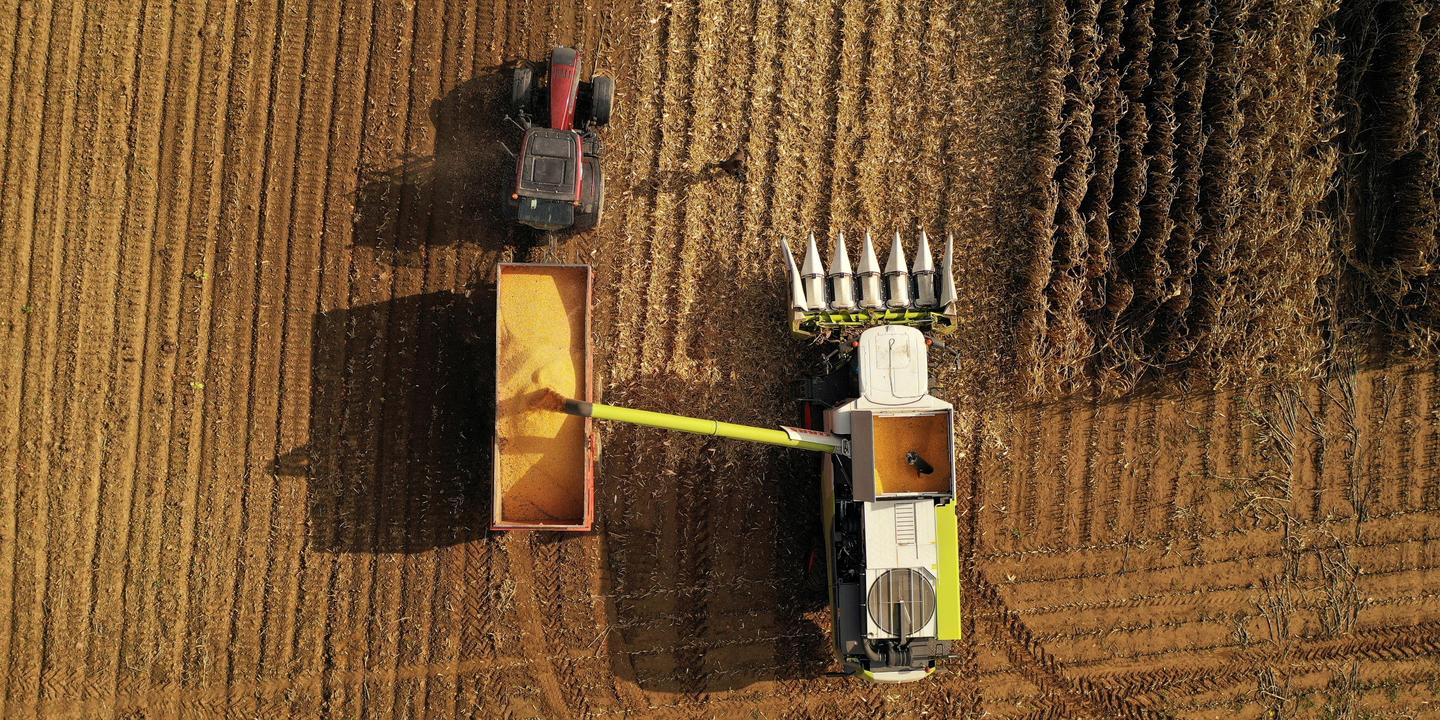 Loi urgence agricole : Lecornu demande consultation groupes parlementaires