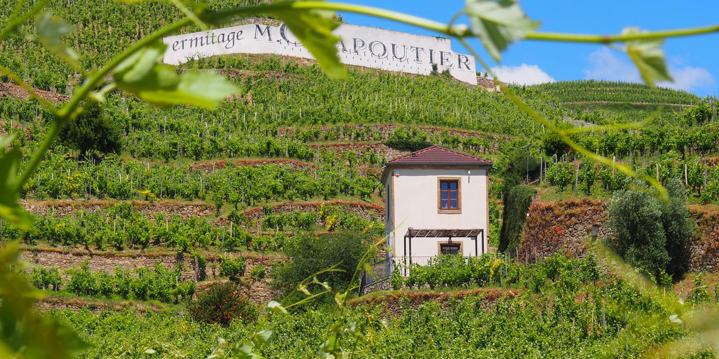 Michel Chapoutier : le visionnaire qui a révolutionné le Rhône