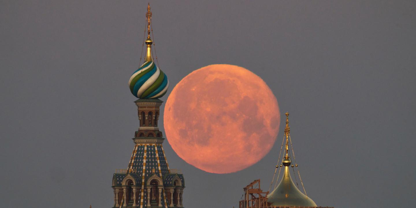 https://img.lemde.fr/2026/07/01/31/0/7892/3946/1440/720/60/0/82dfd6d_ftp-1-bqp45h0xa2w2-b0f6305762204586bc8d9b755693b588-1-88821c4a02f7416ba250aaa77bb09e47.jpg