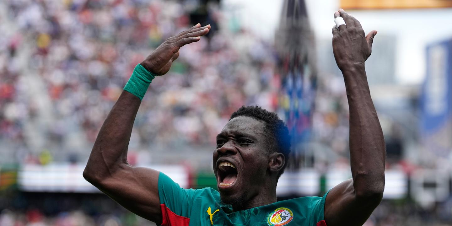 habib diarra