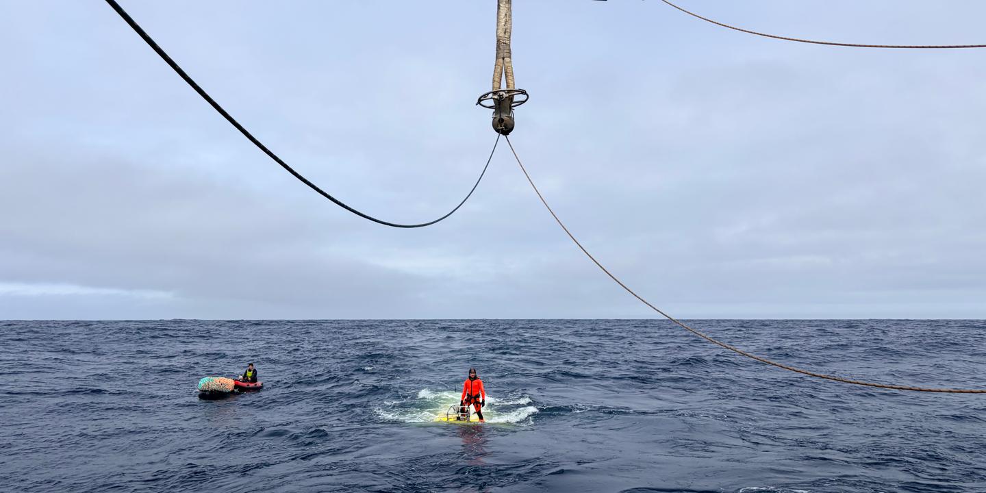 Déchets radioactifs au fond de l'Atlantique : ce que les scientifiques ont observé