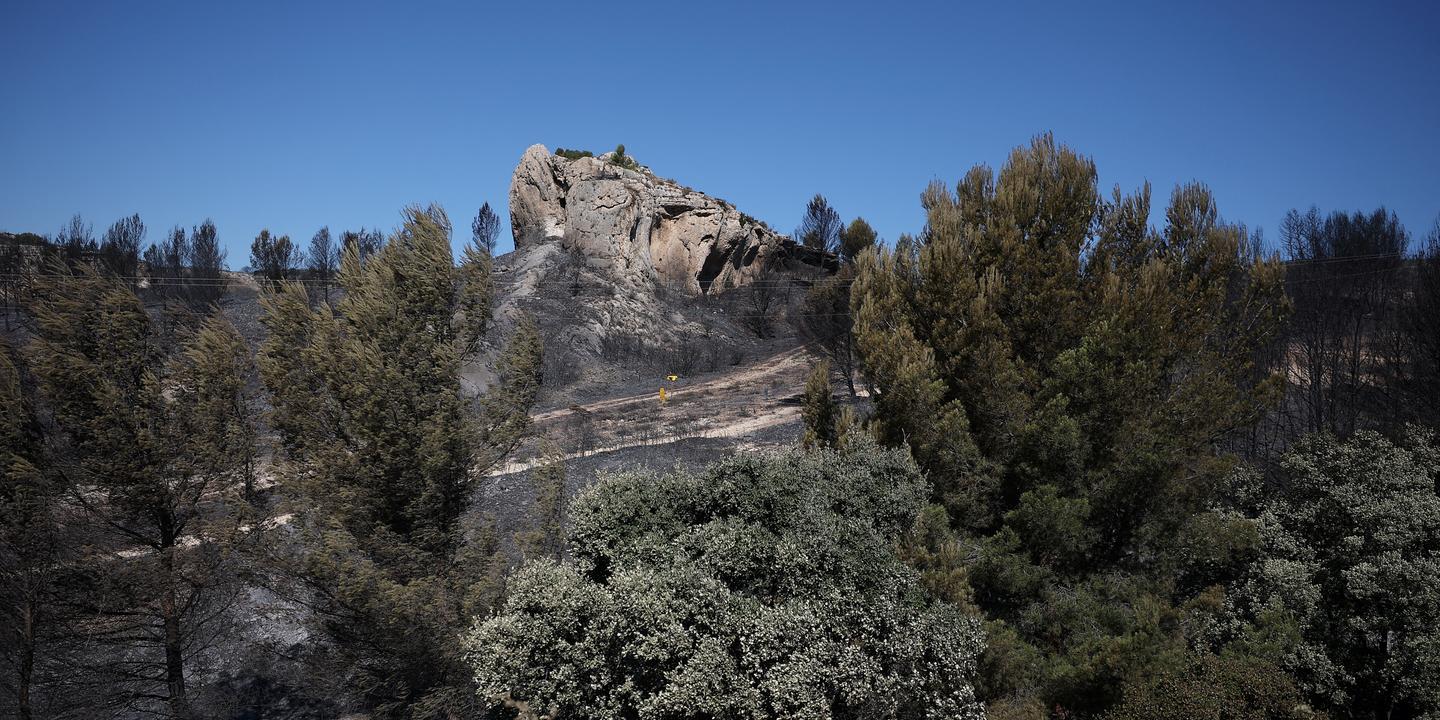 Incendies dans le Sud : risque très élevé persiste samedi dans 6 départements