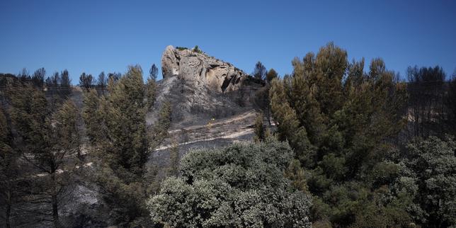 EN DIRECT, incendies dans le sud de la France : près de Marseille, mais aussi dans le Gard, des centaines de pompiers continuent de lutter contre les flammes