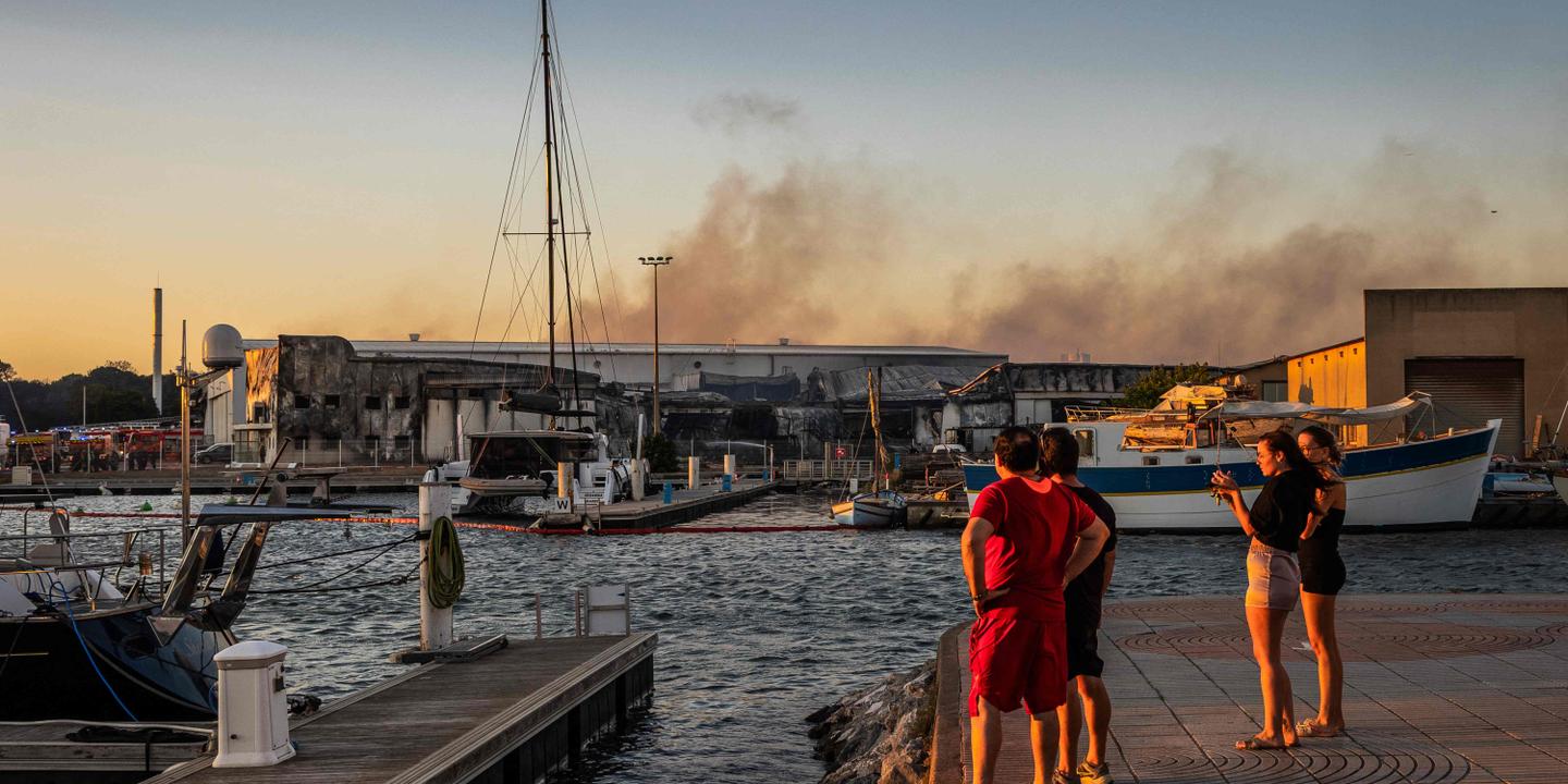Incendies précoces dans le Sud de la France : des feux inédits