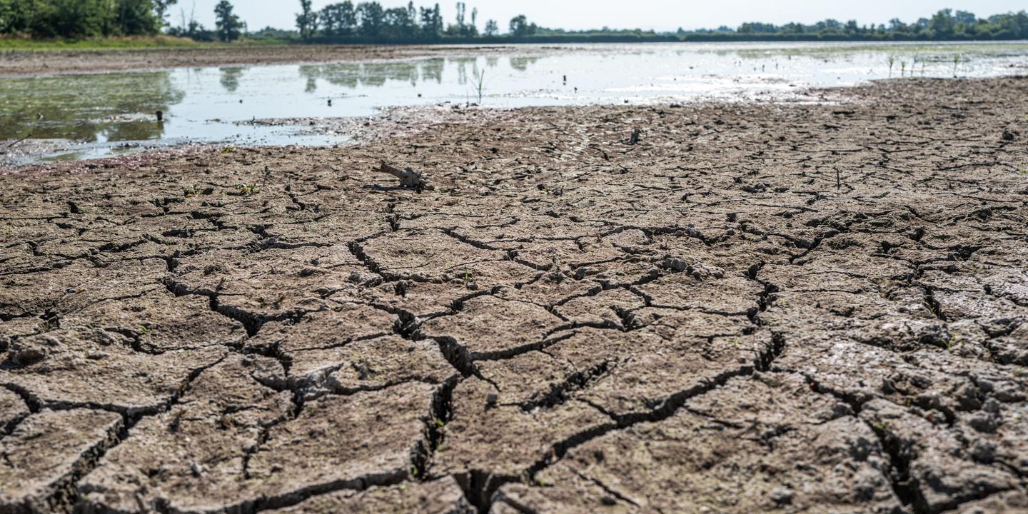 Loi urgence agricole : le Sénat durcit les articles sur l'eau, embarrassant le gouvernement