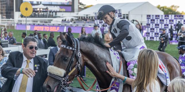 La course hippique Durban July, un « Ascot sud-africain » miroir des aspirations multiraciales et des fractures sociales du pays