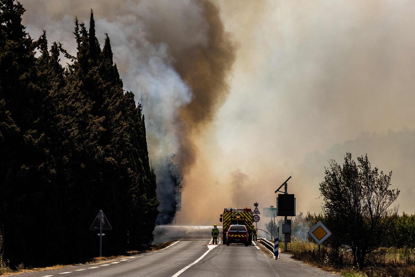 'Never before have 11,000 hectares burned this early in the summer in southern France in at least the past 20 years'