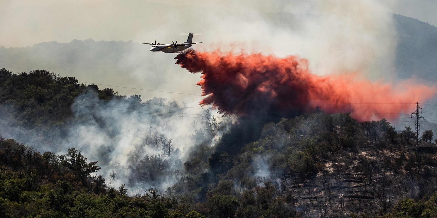 Incendies dans les Pyrénées-Orientales : plus de 4 600 hectares brûlés
