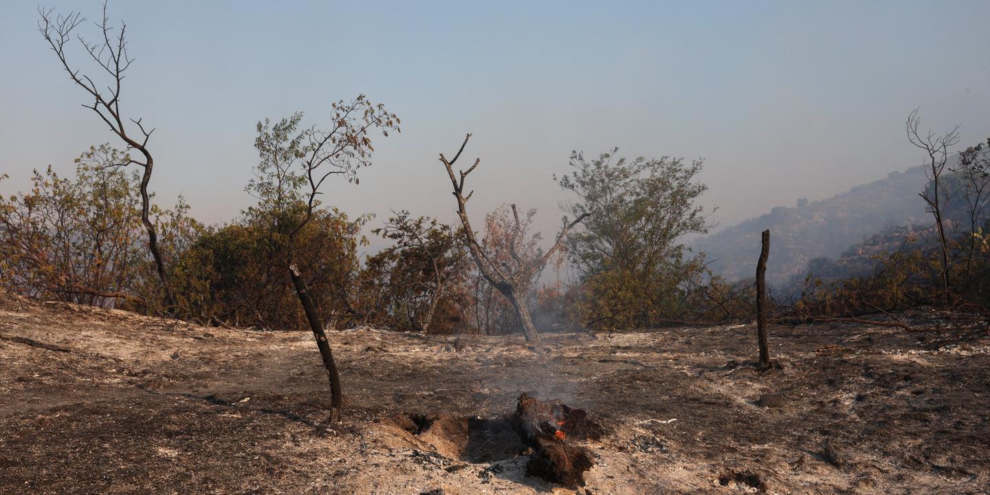 Incendies dans les Pyrénées-Orientales : 4 600 ha brûlés, 7 départements en risque très élevé