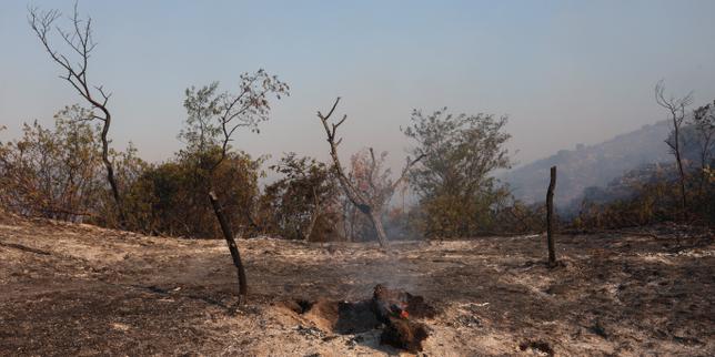 EN DIRECT, incendies : dans les Pyrénées-Orientales, le feu a parcouru 4 600 hectares ; sept départements en « risque très élevé » lundi, selon Météo-France