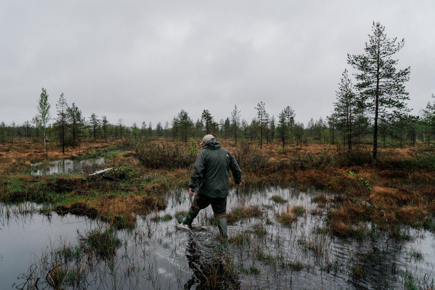 Finland wants to restore its peatlands to help the environment. And to slow Russian tanks.
