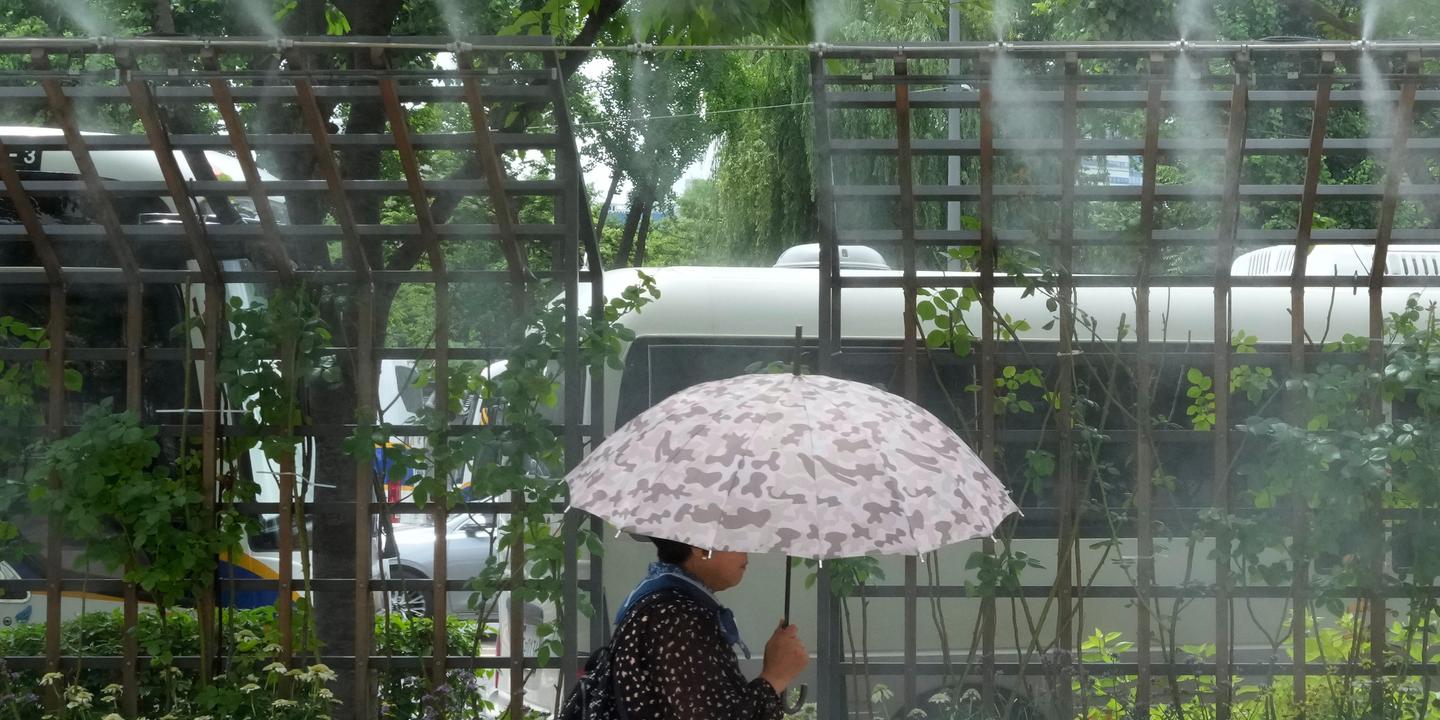 Corée du Sud : première alerte maximale pour canicule
