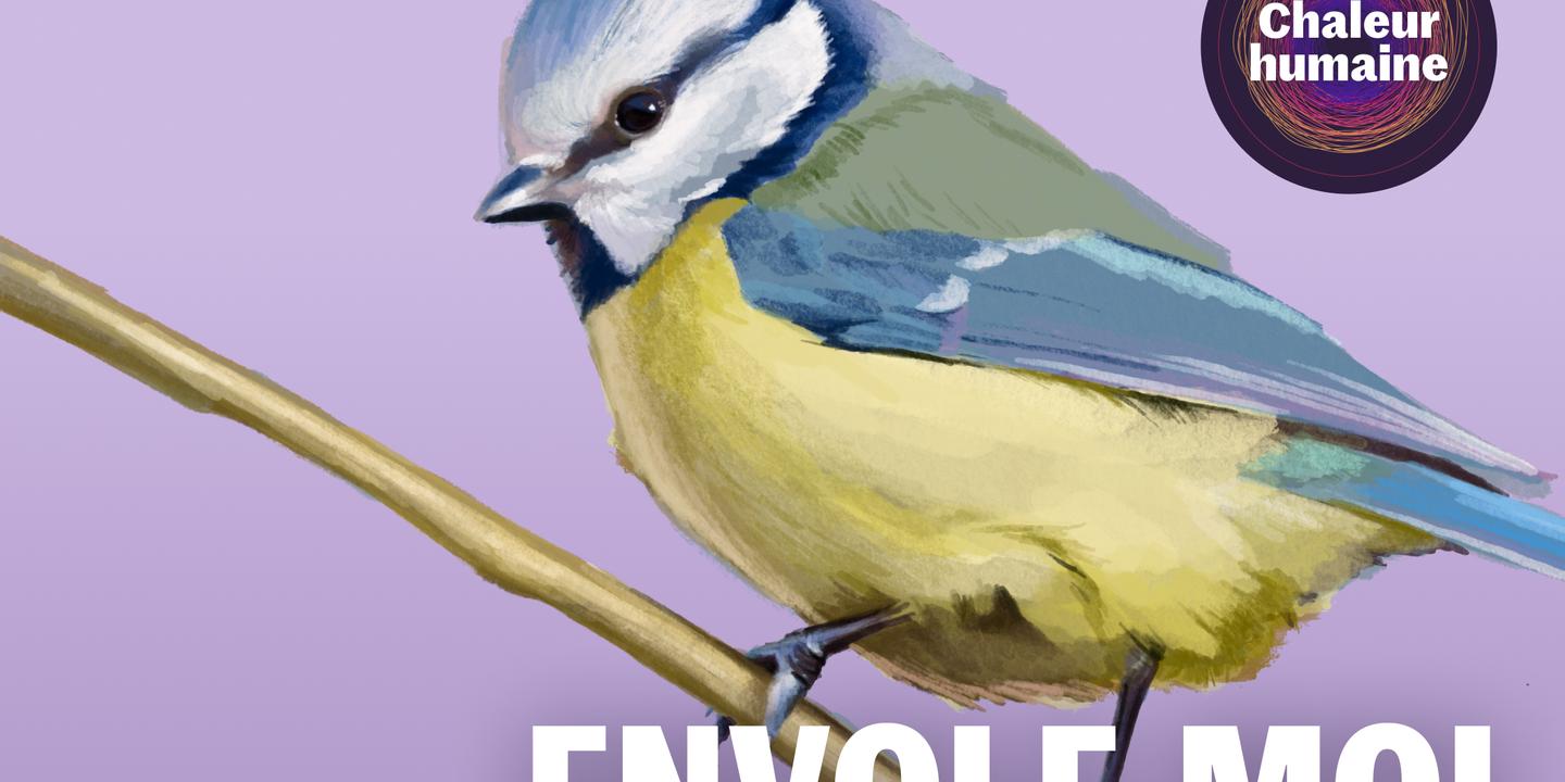 Envole-moi, la mésange bleue : podcast sur le déclin des oiseaux