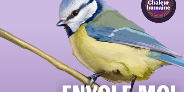 Envole-moi : la mésange bleue (2/6)