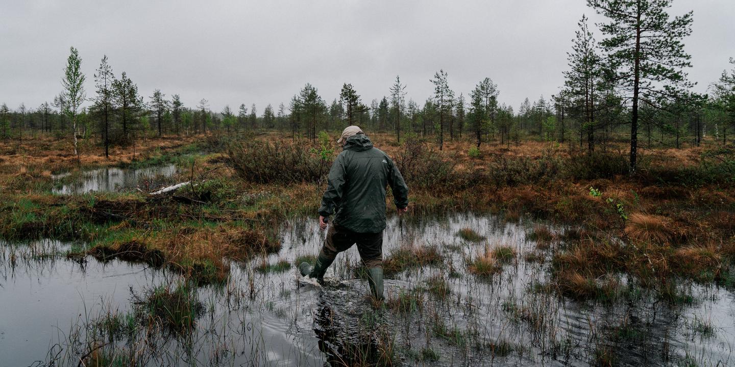 Restaurer des tourbières pour freiner les chars russes : la Finlande se convertit au « réensauvagement défensif »