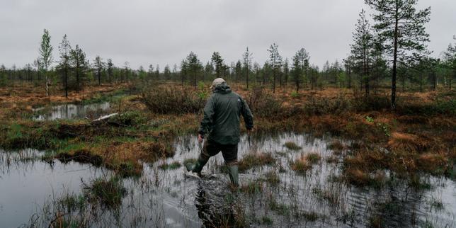 Restaurer des tourbières pour freiner les chars russes : la Finlande se convertit au « réensauvagement défensif »