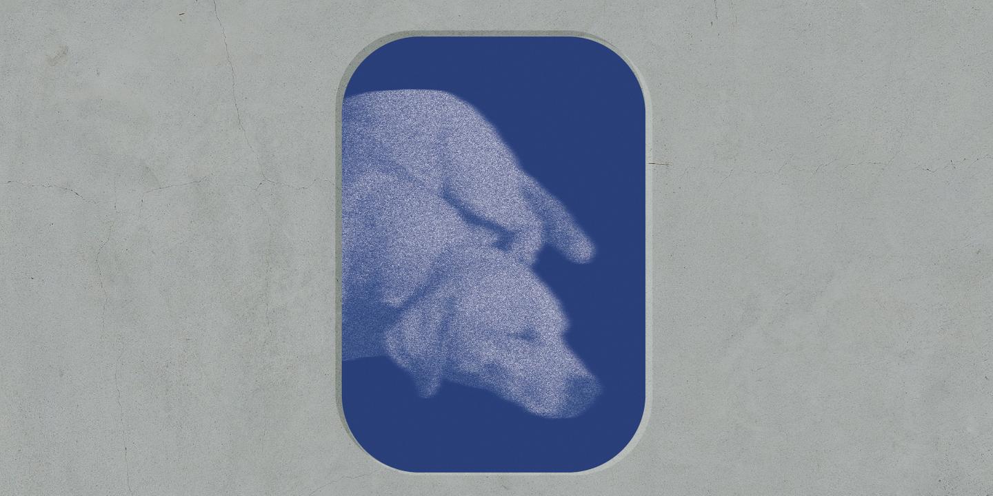 Cimetière des chiens d'Asnières : des railleries à la visite apaisée