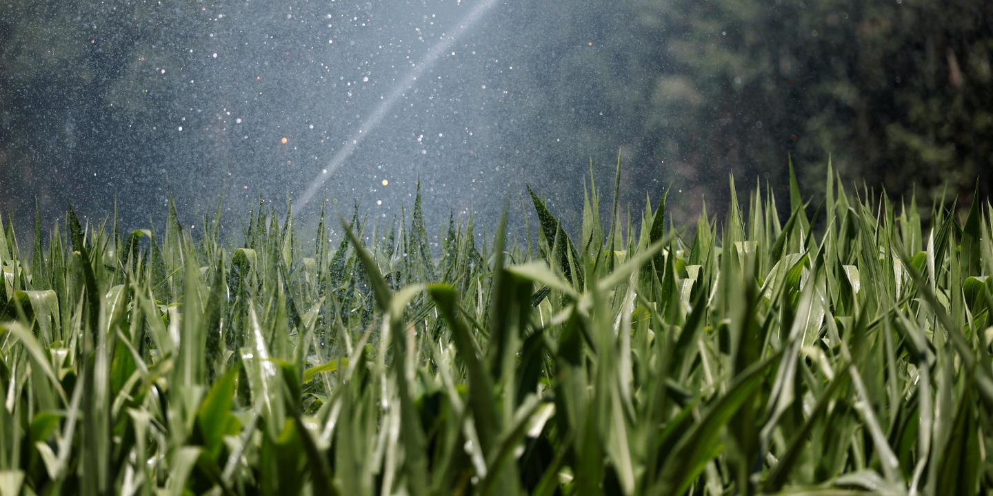 Projet de loi urgence agricole : les acteurs de l'eau mobilisés