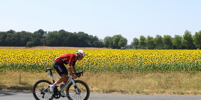 EN DIRECT, Tour de France : échappé dès le départ, le Français Baptiste Veistroffer toujours en tête après cinquante kilomètres de course